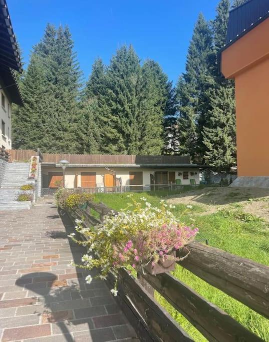 Appartamento Guardabassi Collection - Campiglio Mountain View *